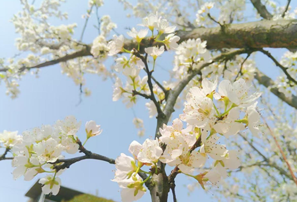 【衡阳县站】春