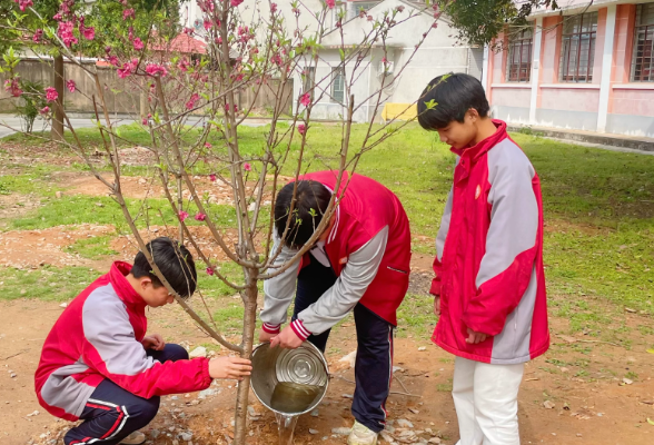 【临湘站】忠防中学：桃樱海棠映春色 学府新绿满庭芳
