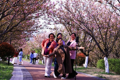 怀化学院：赏花享春光