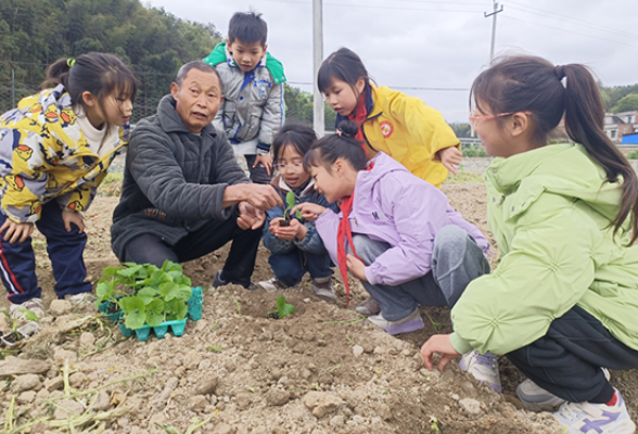 【衡阳县站】盘石完小：家人老师齐上阵 劳动基地娃儿忙