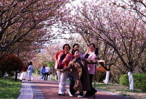 怀化学院：赏花享春光