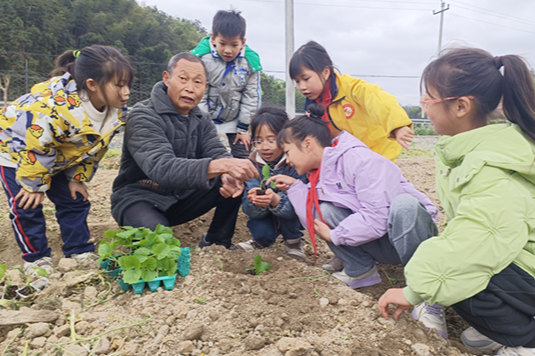 【衡阳县站】盘石完小：家人老师齐上阵 劳动基地娃儿忙
