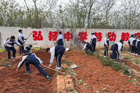 【衡阳县站】弘扬中学：春日种菜苗 劳动育新人