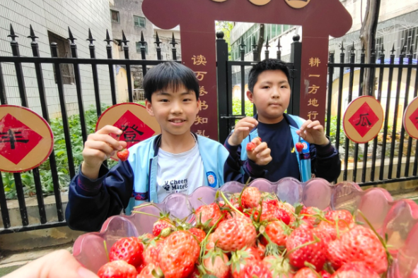 吉首市第三小学：从播种到收获