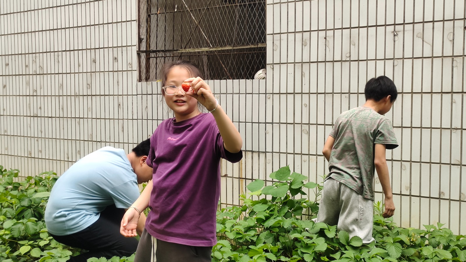 微信图片_20250430125607.jpg