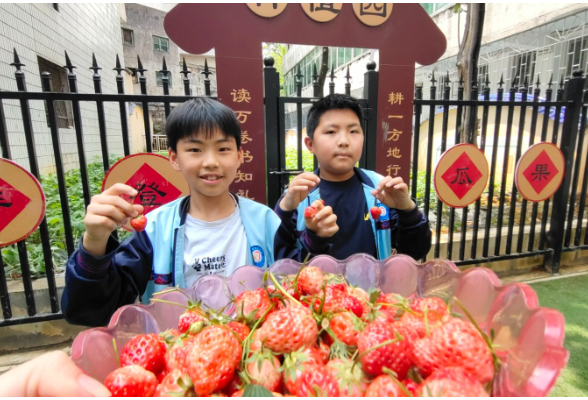 吉首市第三小学：从播种到收获