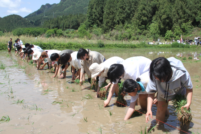 保靖民族中学：10公里远足插秧
