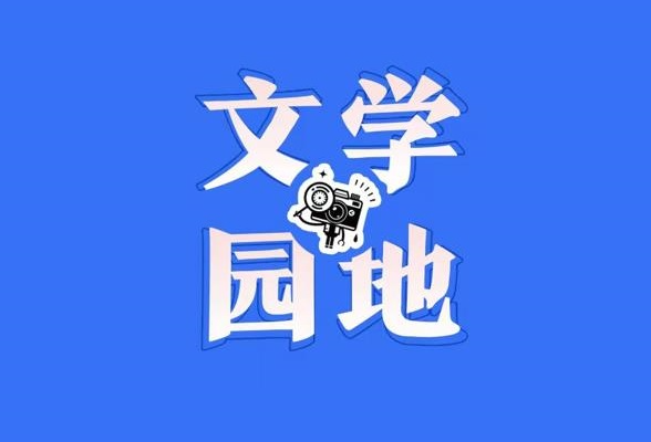 【慈利站】摘柿子