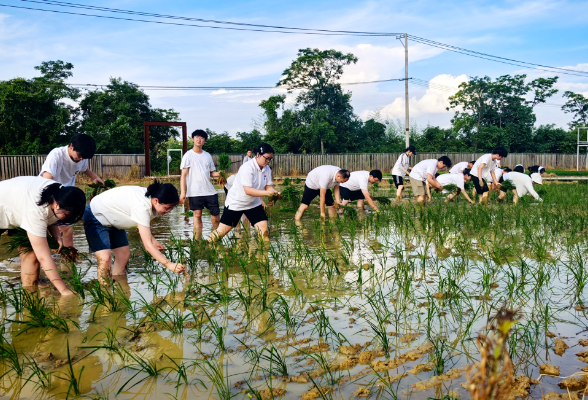 湖南科技学院：田间“思政教育”解锁劳动育人新场景