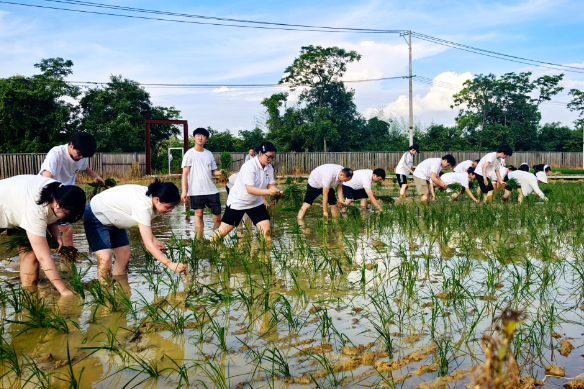 湖南科技学院：田间“思政教育”解锁劳动育人新场景