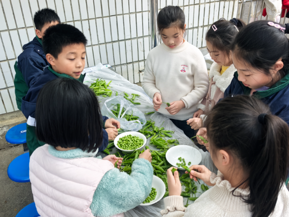 【浏阳站】有趣的土家灶