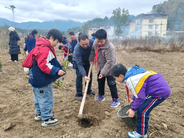 【衡阳县站】盘石完小：劳动基地添绿意 师生共植油茶树