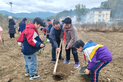 【衡阳县站】盘石完小：劳动基地添绿意 师生共植油茶树