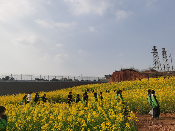 【衡阳县站】蒸阳学校：赏油菜花海 悟劳动之美