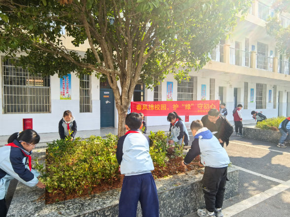 【衡阳县站】春晖小学：“护绿小队”守护校园生态美