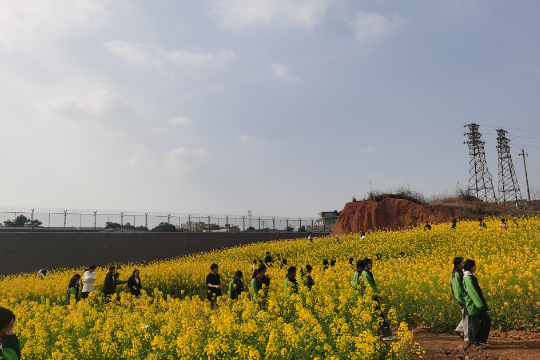 【衡阳县站】蒸阳学校：赏油菜花海 悟劳动之美
