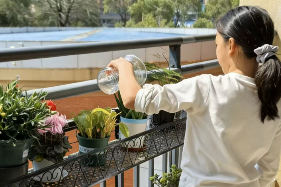 【衡阳县站】实验学校：创意与绿意共生 美育伴少年成长