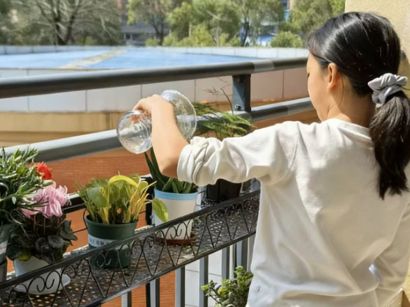 【衡阳县站】实验学校：创意与绿意共生 美育伴少年成长