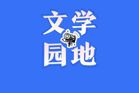 【鼎城区站】角落里的成长