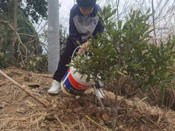 【慈利站】溪口镇中心完小：三月学雷锋 实践促成长