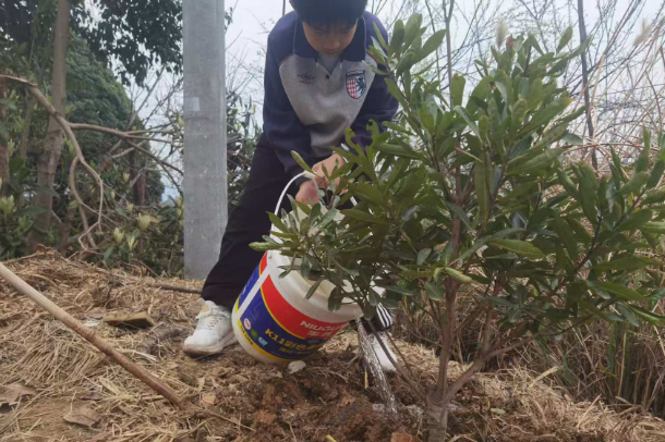 【慈利站】溪口镇中心完小：三月学雷锋 实践促成长