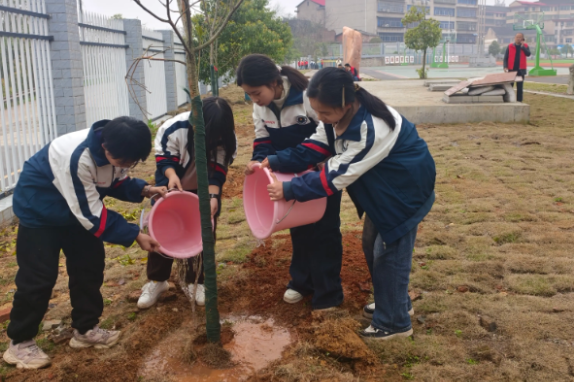 【衡阳县站】台源镇芙蓉学校：植绿添新景 劳动育新人
