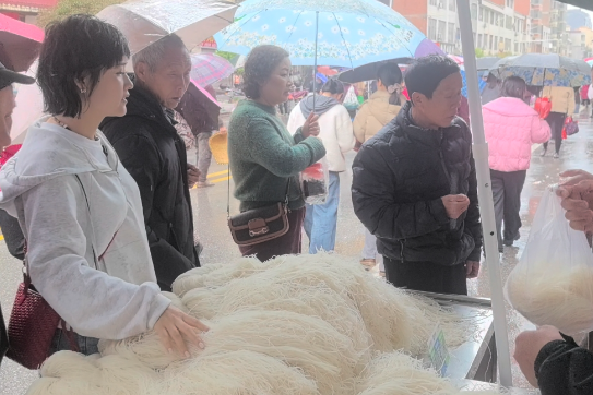 【衡阳县站】江山学校：渣江“二月八” 万人“农博会”里的春耕序曲