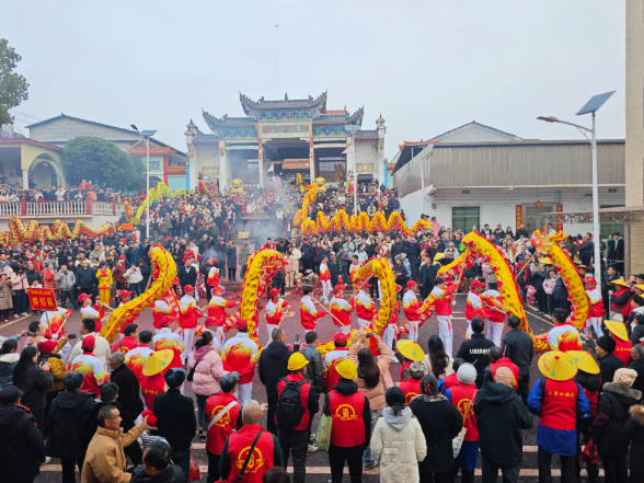 【耒阳站 | 家乡推荐官·家乡年味】敖山庙会