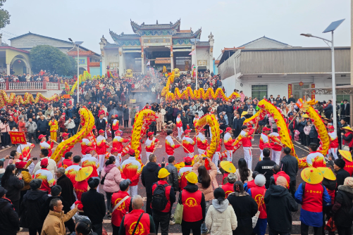 【耒阳站 | 家乡推荐官·家乡年味】敖山庙会
