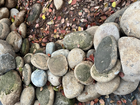 【衡阳县站】一块小石头的“高光时刻”