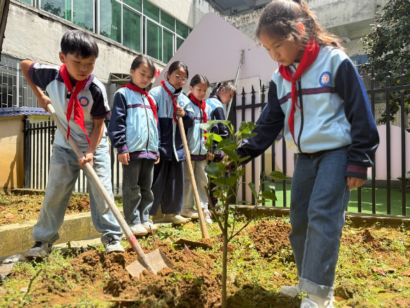 吉首市第三小学：植桑践劳 科普启智