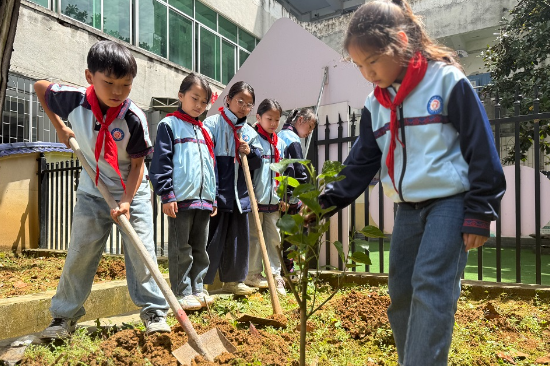 吉首市第三小学：植桑践劳 科普启智