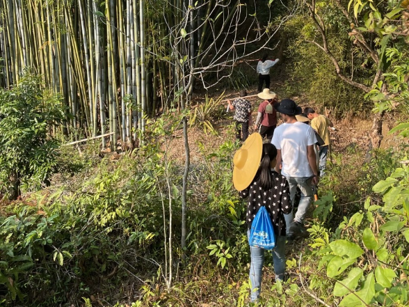 【衡阳县站】胡程勋：清明山路听教诲 少年追思拔节长