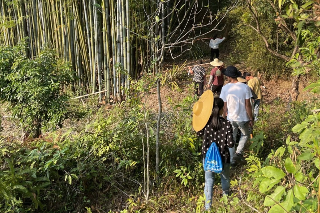 【衡阳县站】胡程勋：清明山路听教诲 少年追思拔节长