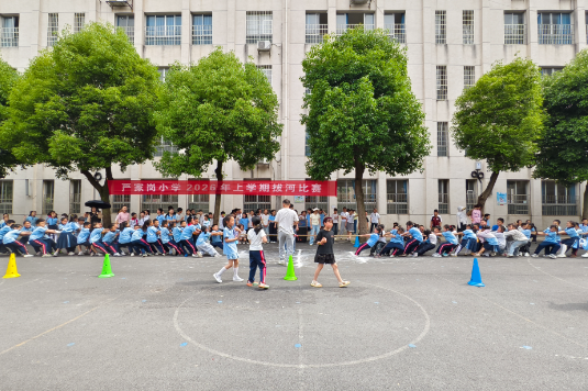 【鼎城区站】严家岗小学：拔河赛场凝合力