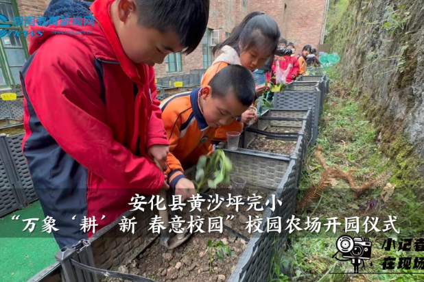 【安化站】黄沙坪完小举行“万象‘耕’新 春意校园”校园农场开园仪式（小记者 吉沁仪 指导教师 曾胜蓝 李斯琴）