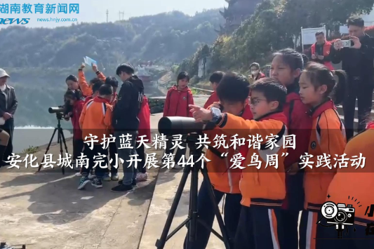 【安化站】守护蓝天精灵 共筑和谐家园 ——城南完小开展第44个“爱鸟周”实践活动（小记者 谭嘉言 指导教师 刘玲 夏柳）