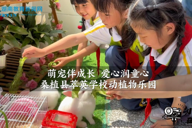 【桑植站】萃英学校：“萌宠伴成长 爱心润童心”校园动植物乐园（小记者 尚嘉妍 指导教师 向敏 向珊）