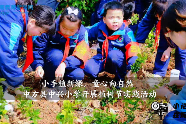 【中方站】中兴小学开展“小手植新绿，童心向自然”植树节实践活动