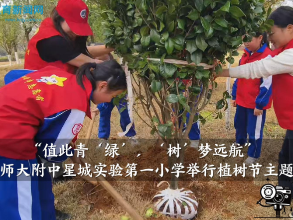 【望城区站】湖南师大附中星城实验第一小学开展“值此青‘绿’，‘树’梦远航”植树节主题活动