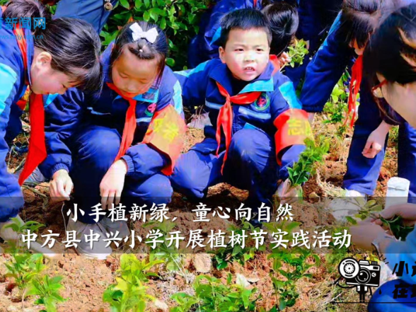 【中方站】中兴小学开展“小手植新绿，童心向自然”植树节实践活动