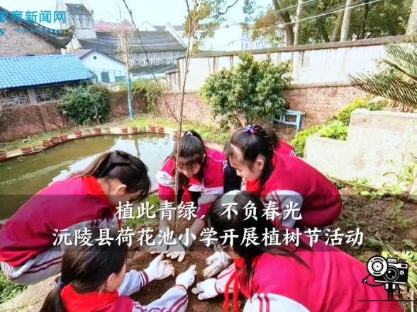 【沅陵站】荷花池小学：“小手添新绿，童心护春光”，植树节活动圆满举行