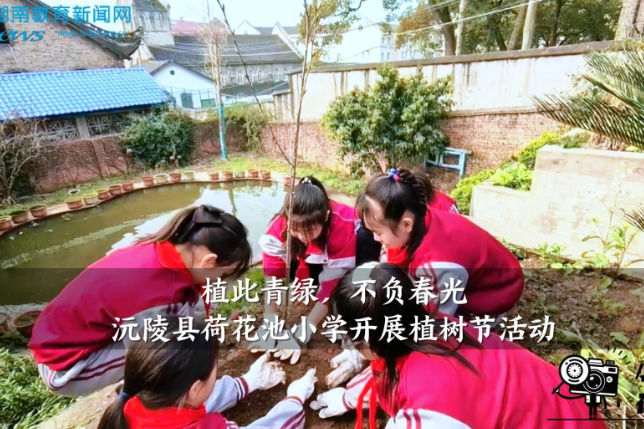 【沅陵站】荷花池小学：“小手添新绿，童心护春光”，植树节活动圆满举行