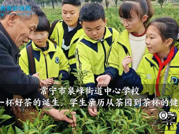 【常宁站】泉峰街道中心学校：探寻一杯好茶的诞生，学生亲历从茶园到茶杯的健康之旅