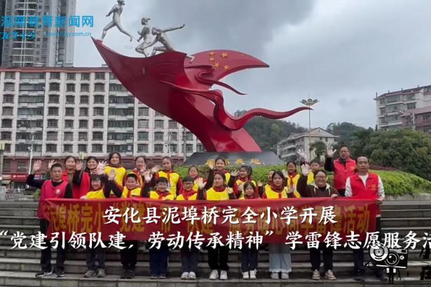【安化站】泥埠桥完全小学开展“党建引领队建，劳动传承精神”学雷锋志愿服务活动