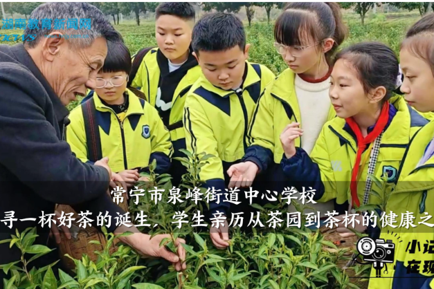 【常宁站】泉峰街道中心学校：探寻一杯好茶的诞生，学生亲历从茶园到茶杯的健康之旅