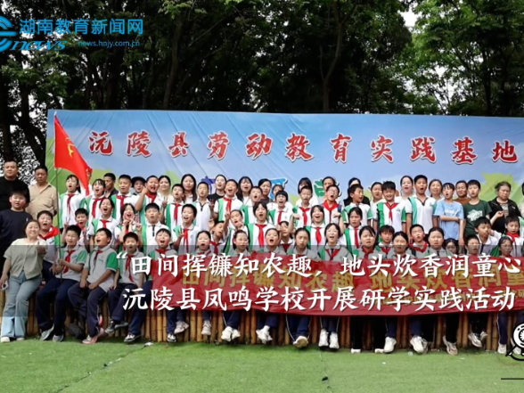 【沅陵站】凤鸣学校开展“田间挥镰知农趣，地头炊香润童心”研学实践活动
