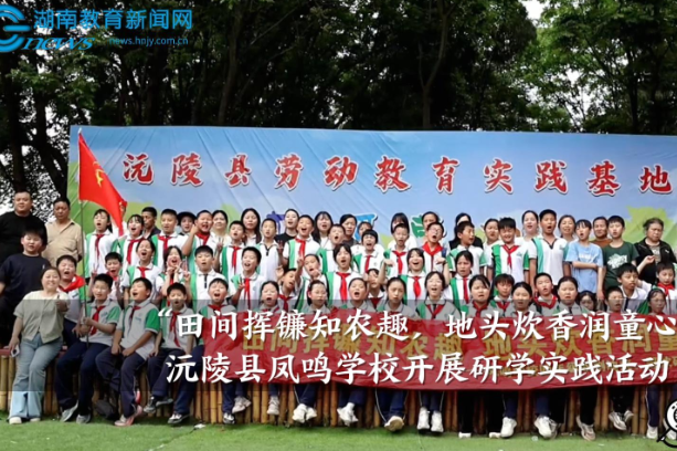 【沅陵站】凤鸣学校开展“田间挥镰知农趣，地头炊香润童心”研学实践活动
