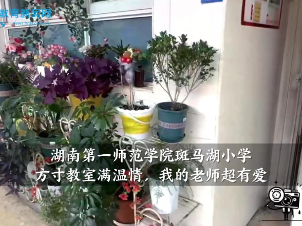 【望城区站】湖南第一师范学院斑马湖小学：方寸教室满温情，我的老师超有爱