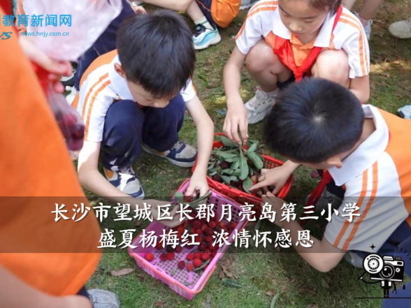 【望城区站】长郡月亮岛第三小学：盛夏杨梅红 浓情怀感恩